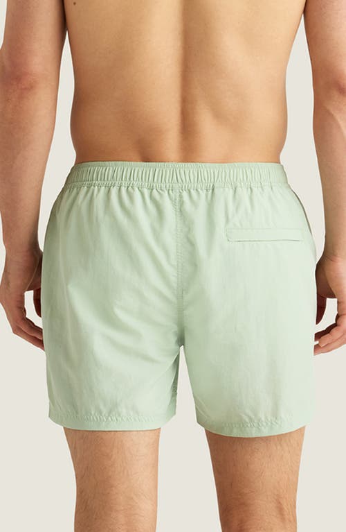 Auto-reply™ Sebastian Solid 4-inch Nylon Swim Trunks In Overcast