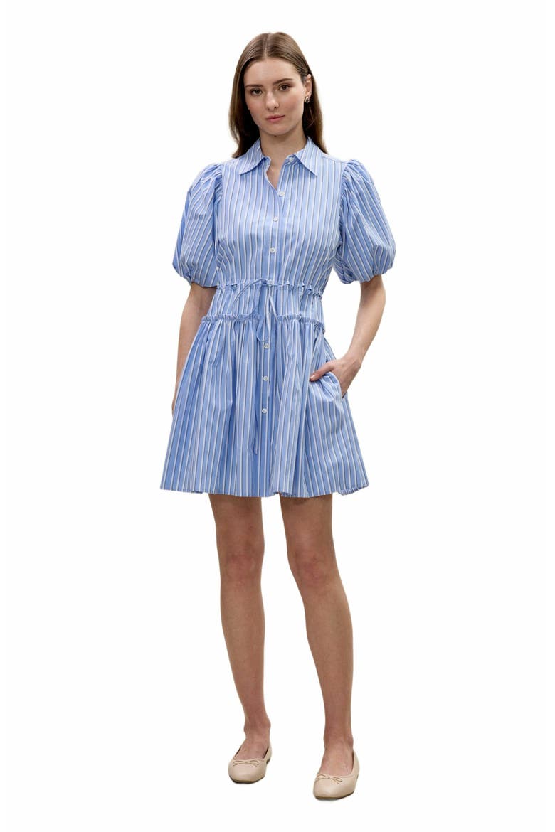 Priya Poplin Shirt Dress, Main, color, BLUE STRIPE COMBO