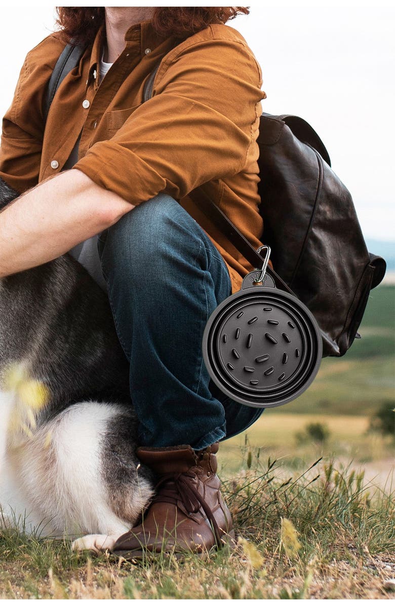 Puppington Slow-Feeding, BPA-Free Silicone Travel Dog Bowl, Alternate, color, Onyx Black