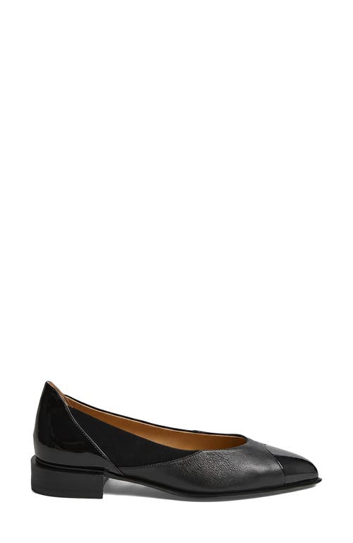 Django & Juliette Django And Juliette Emberta Pointed Toe Flat In Multi