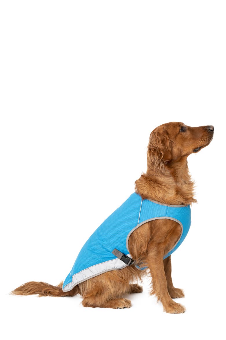 Chill Seeker Cooling Pet Vest, Alternate, color, BLUE
