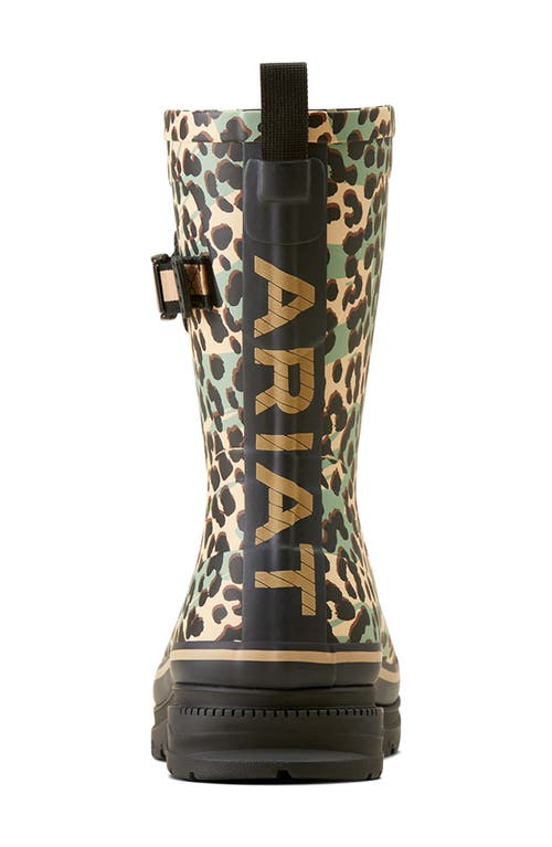 Ariat Kelmarsh Mid Waterproof Boot In Brown