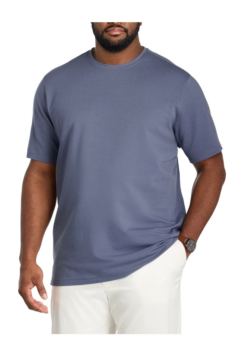 Big & Tall Luxury T-Shirt, Main, color, BLEACHED DENIM PD