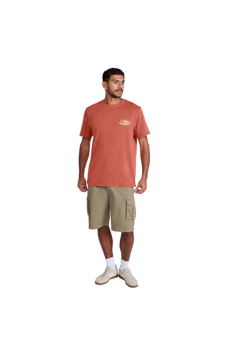 Chase Relaxed Fit T-Shirt, Alternate, color, Burnt Orange