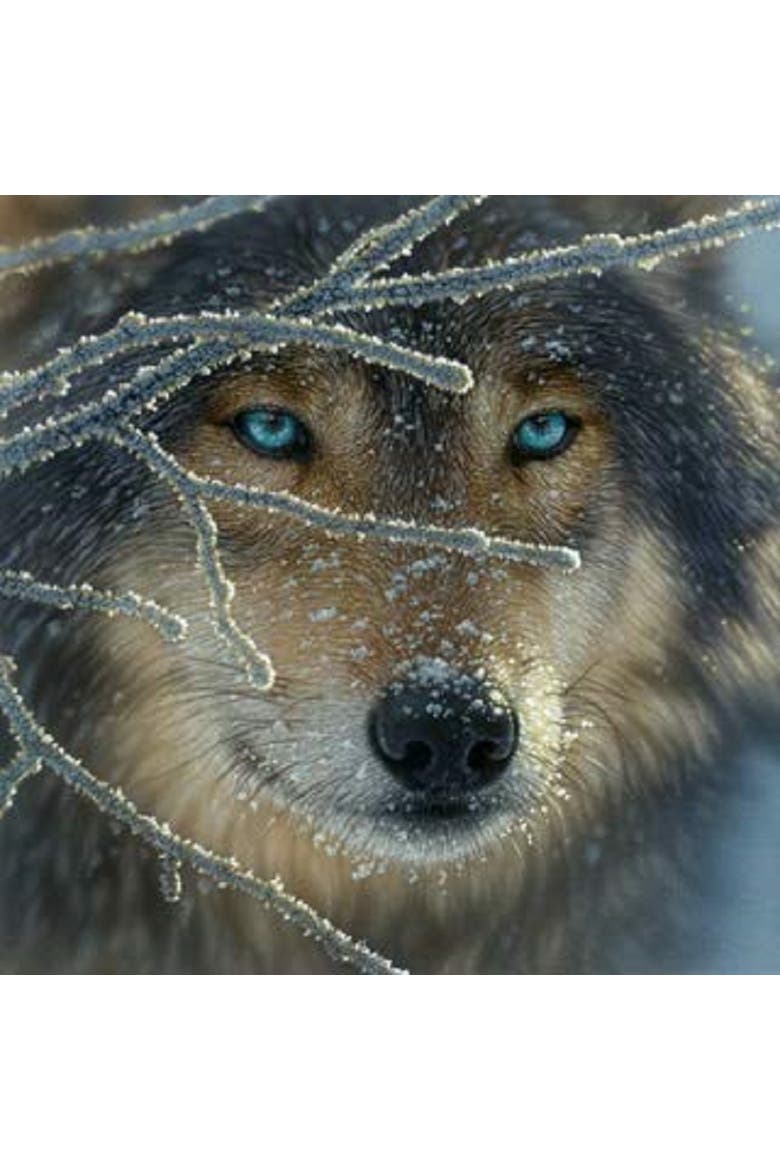 Fire Within Ice 500 piece Jigsaw Puzzle for Adults, Alternate, color, Multicolor