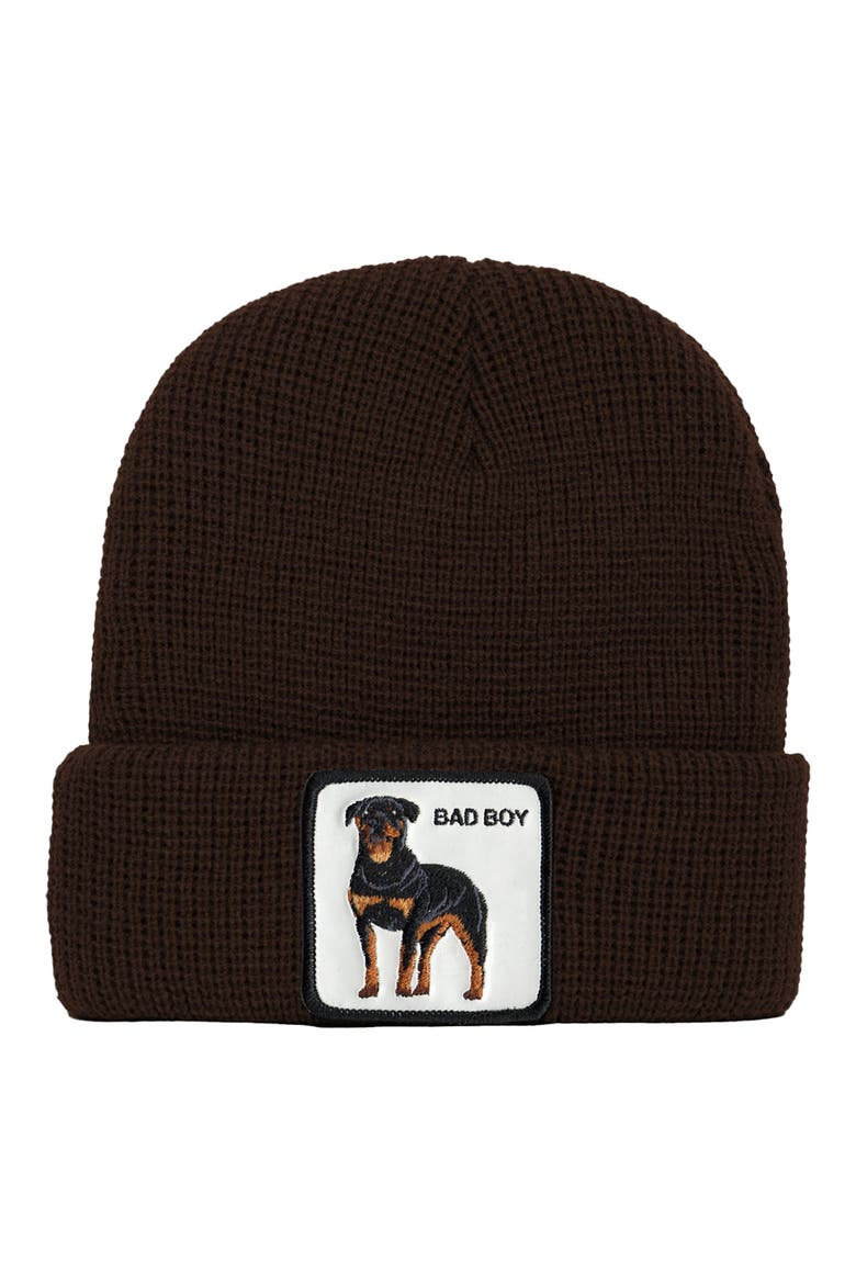 Ruff Stuff Beanie, Main, color, DARK BROWN