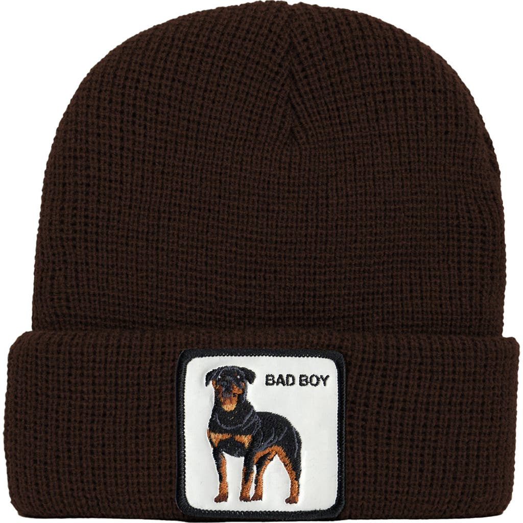 Goorin Bros Ruff Stuff Beanie In Brown