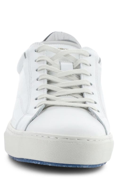 AMBITIOUS AMBITIOUS 11218 LOW TOP SNEAKER 