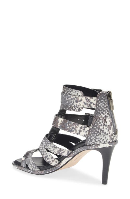 Vince Camuto Frenton Buckle Sandal In Animal Print