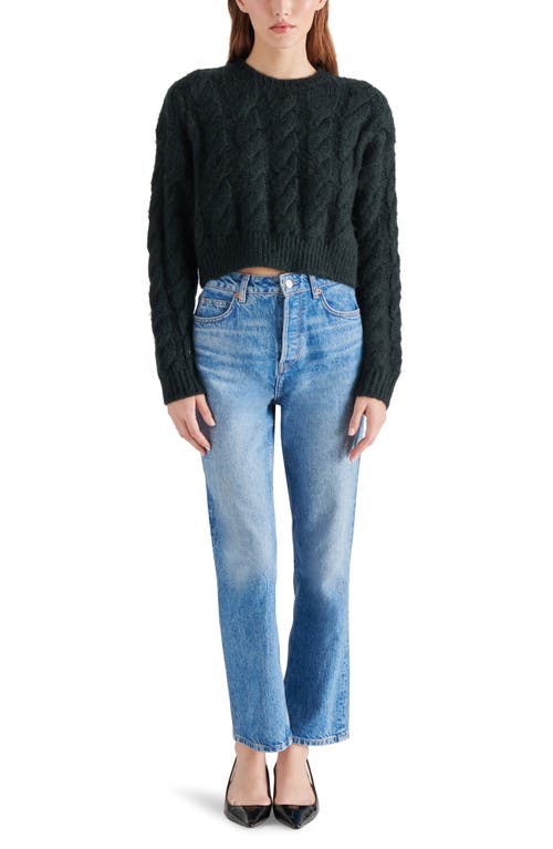 Steve Madden Ceronne Cable Stitch Sweater In Black