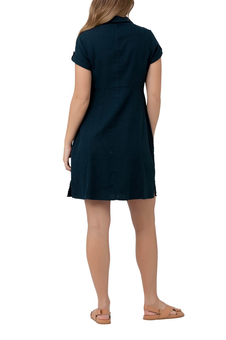 Colette Tie Up Linen Dress, Alternate, color, BIRO