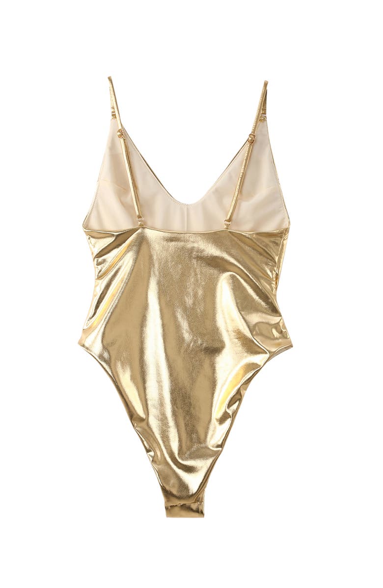 LECHERY<sup>®</sup> Lustrous Plunge High-cut One-piece, Alternate, color, 