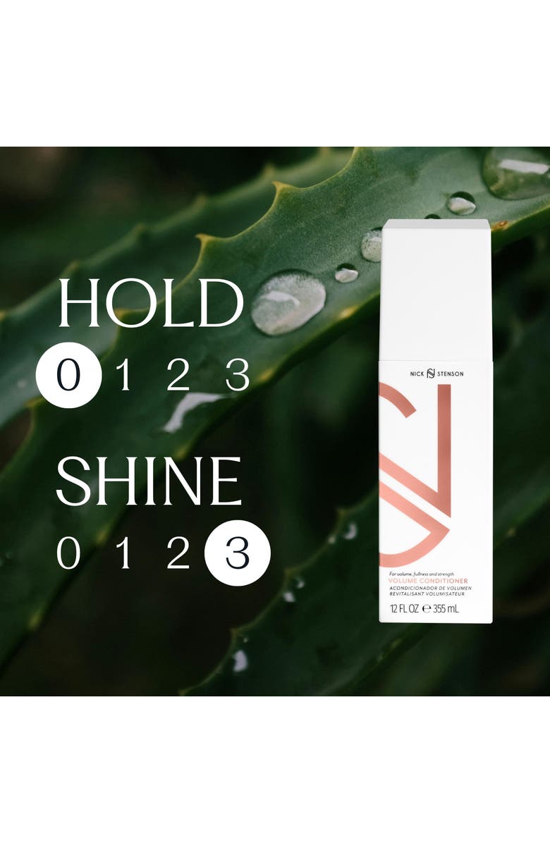 Nick Stenson Beauty Volume Conditioner, Alternate, color, 33 Oz.