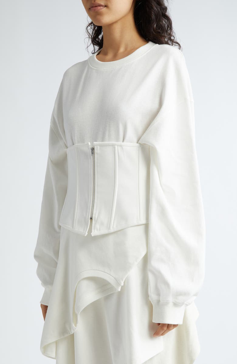 Acne Studios Eyo Long Sleeve Corset Waist Dress, Alternate, color,