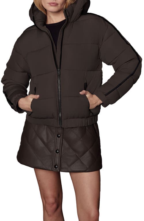 Alp N Rock Whitney Puffer Jacket In Brown