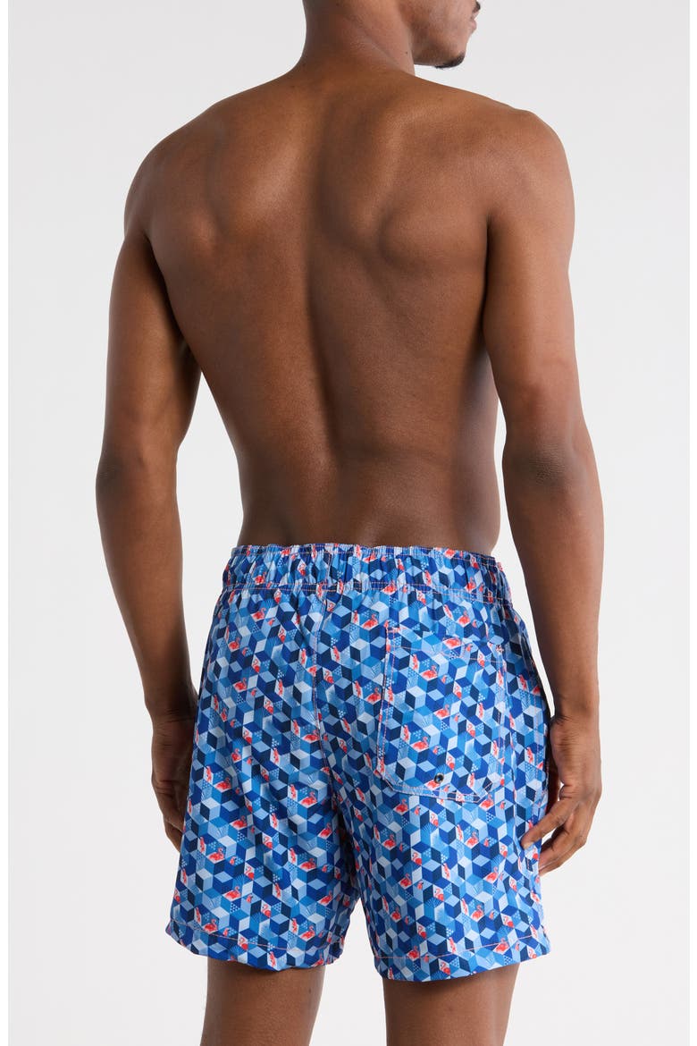 Triangular Escape Swim Trunks, Alternate, color, BLUE