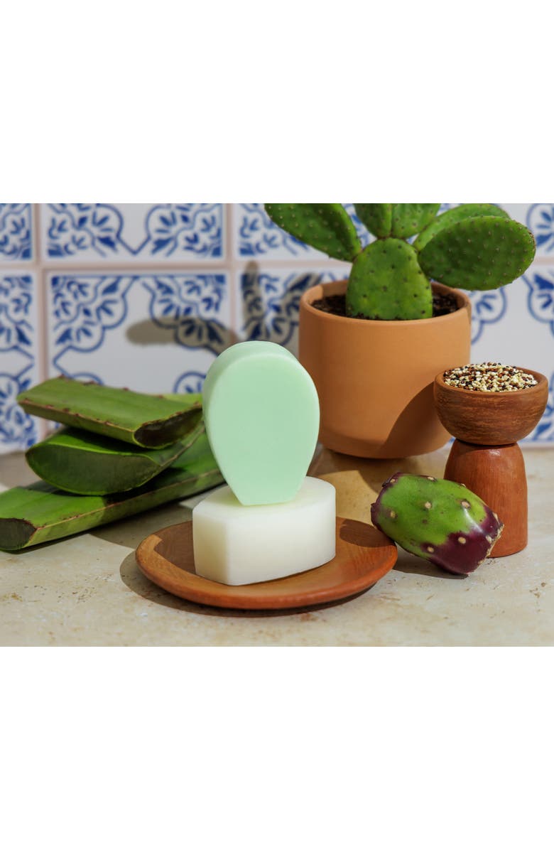 Nopalera Balance & Repair Shampoo Bar, Alternate, color,