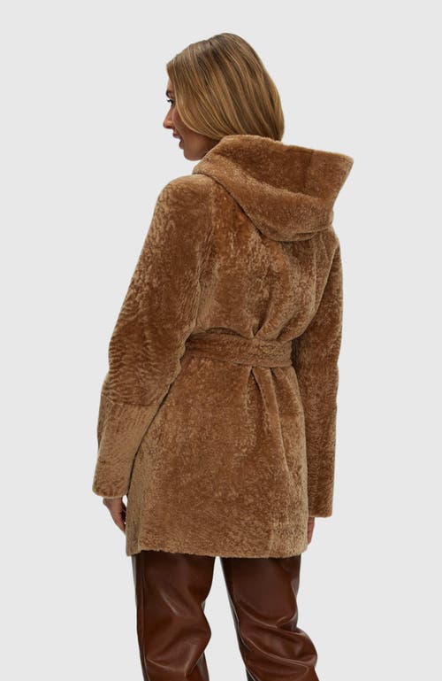 Gorski Reversible Textured Shearling Lamb Parka In Brown