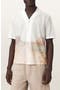 selected Tern White