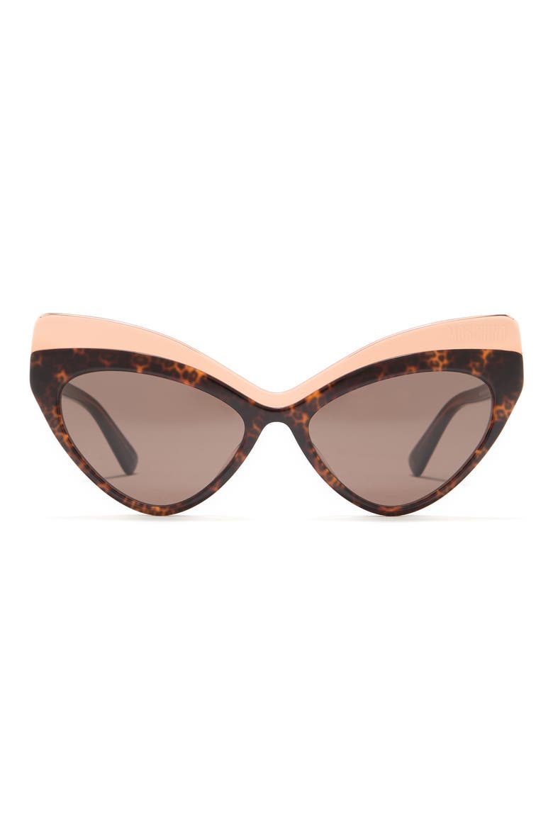 54mm Cat Eye Sunglasses, Main, color, HAVANA ORANGE / BROWN