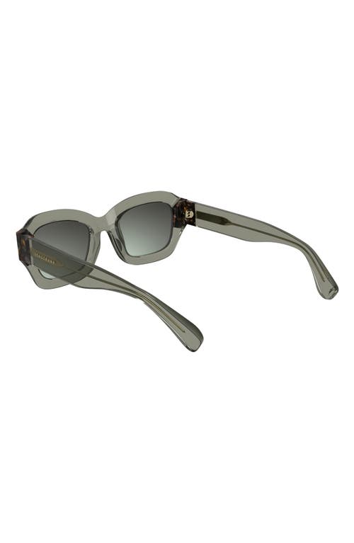 Longchamp Heritage 50mm Cat Eye Sunglasses In Transparent Olive/havana