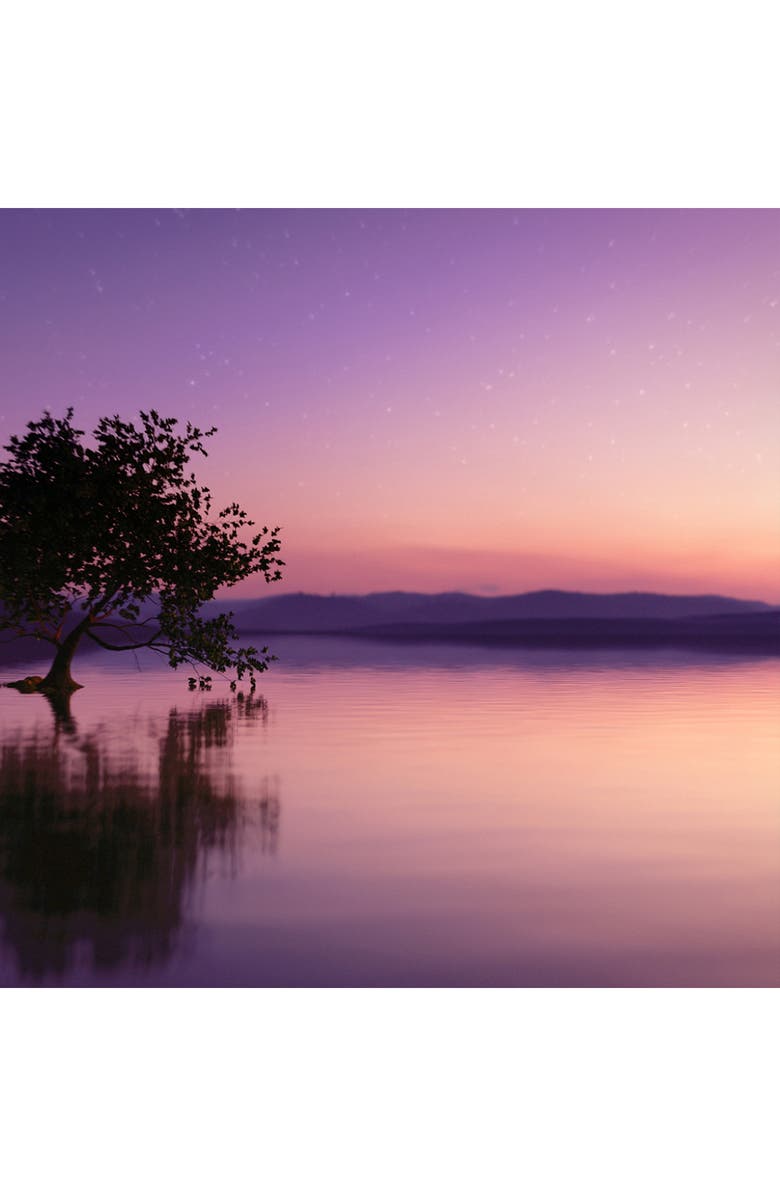 Estée Lauder Luxury Collection Sensuous Stars Eau de Parfum, Alternate, color, 