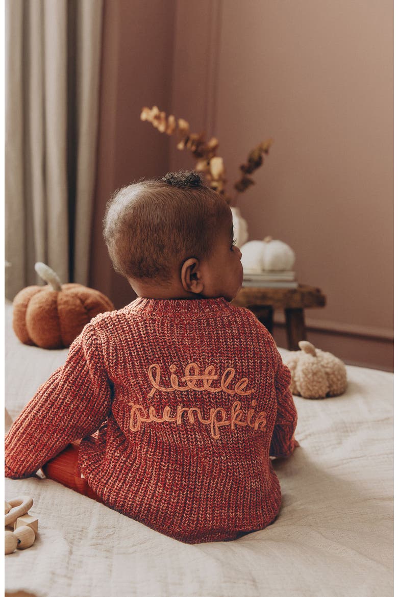 Little Pumpkin Cardigan, Alternate, color, ORANGE