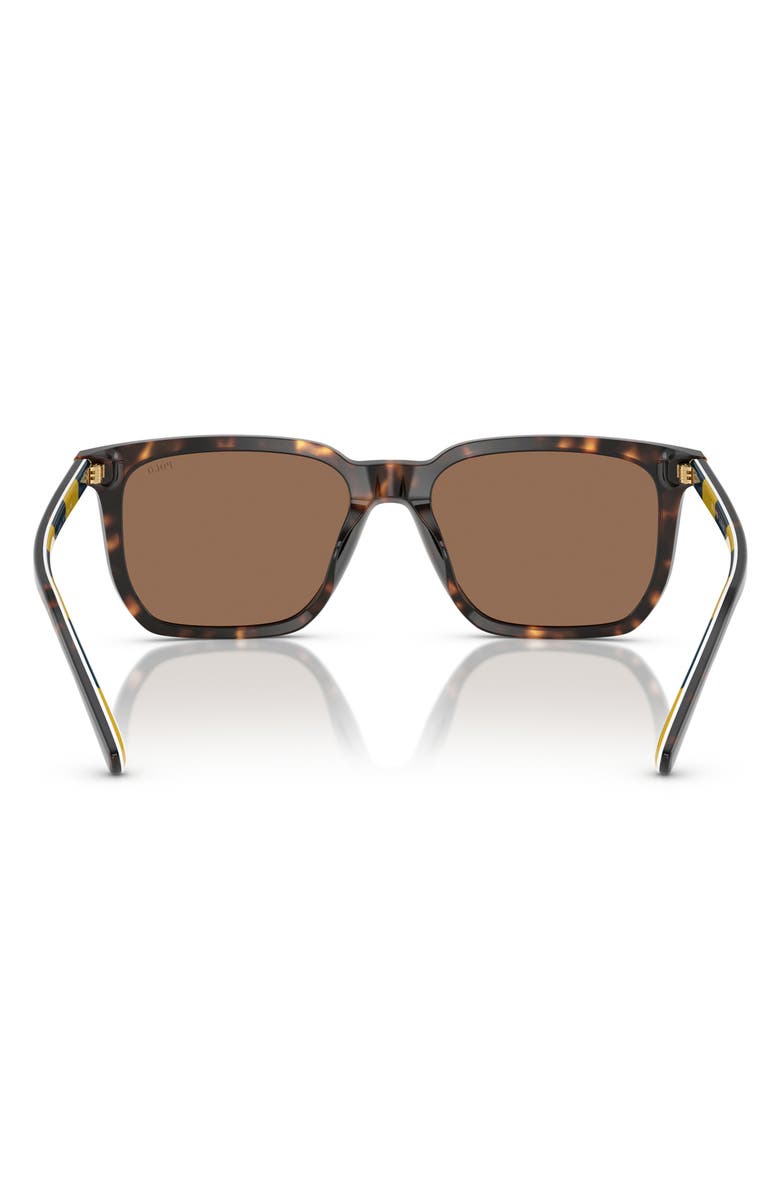 Polo Ralph Lauren 55mm Rectangular Sunglasses, Alternate, color, Shiny Havana