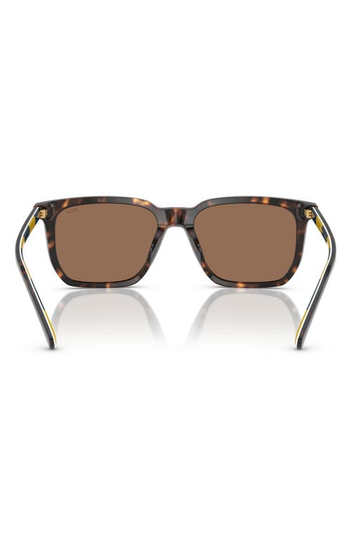 Ralph Lauren Ralph By 55mm Rectangular Sunglasses In Shiny Havana