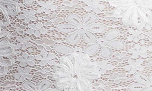 DRESS THE POPULATION DRESS THE POPULATION SOPHIA LONG SLEEVE EMBROIDERED LACE DRESS