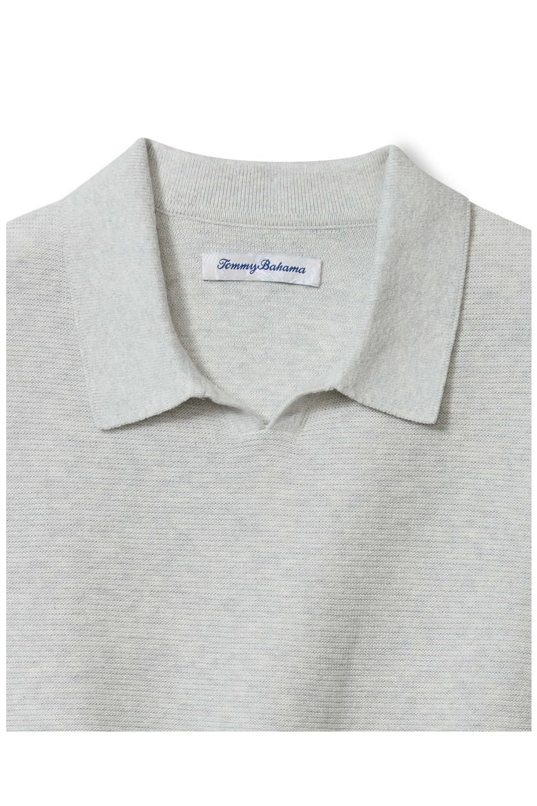 Capri Cove Johnny Collar Polo, Alternate, color, HEATHER GREY