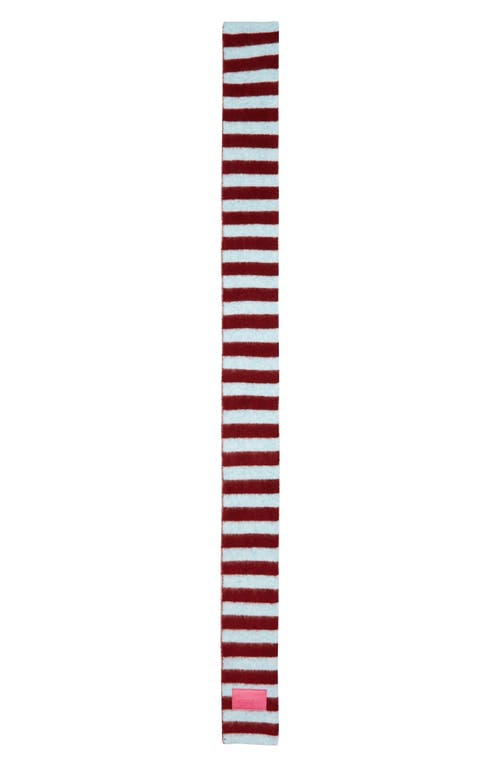 Susmie's Polar Stripe Scarf In Multi