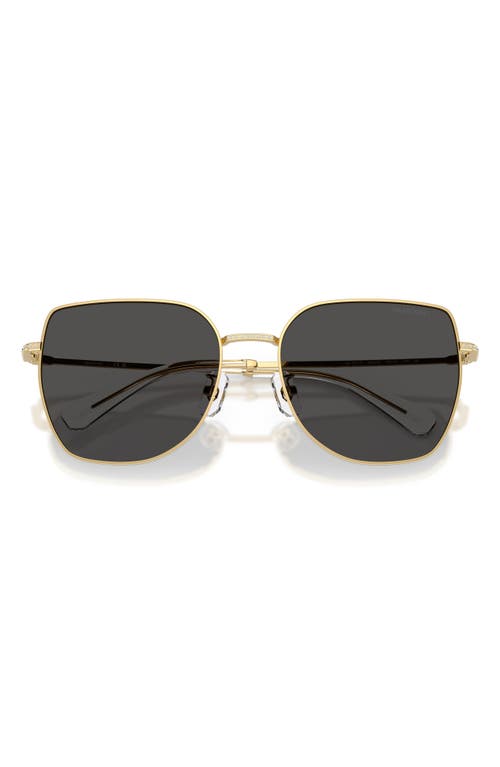 Swarovski 59mm Polarized Square Irregular Sunglasses In Brown