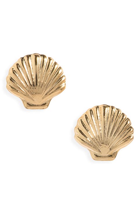 Cove Shell Stud Earrings