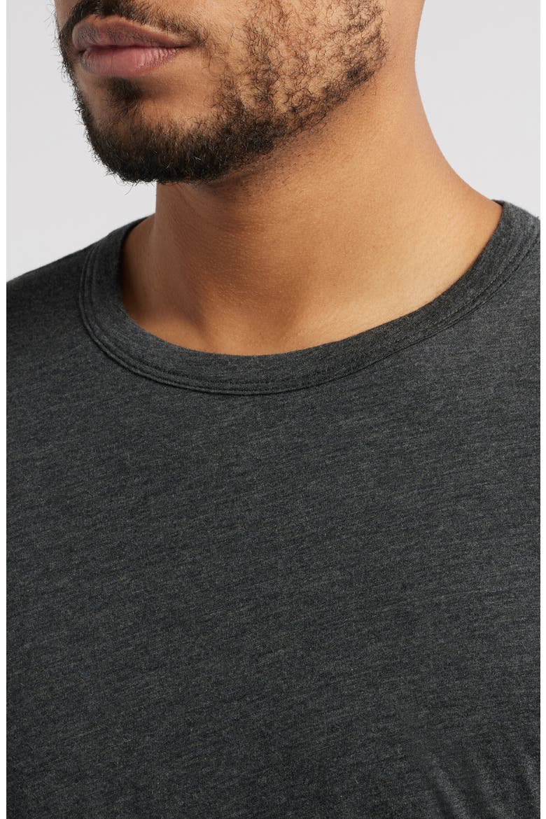 Cloud Reversible Crewneck T-Shirt, Alternate, color, CHARCOAL HEATHER