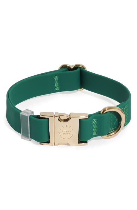 Cloud Waterproof Dog Collar