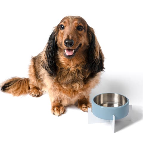 Intersecta Concrete and Stainless Steel Bowl with Metal Stand Pet Feeder