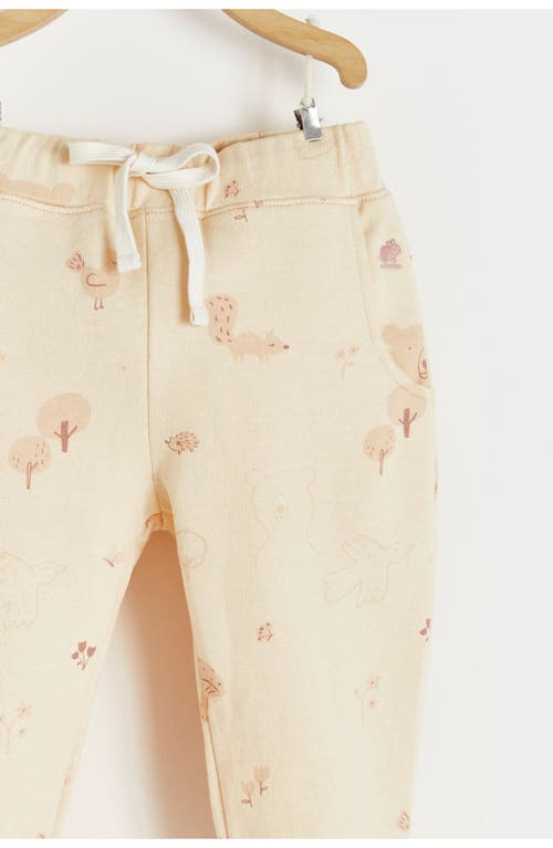 Babycottons Tree Printed Jogger In Multicolor