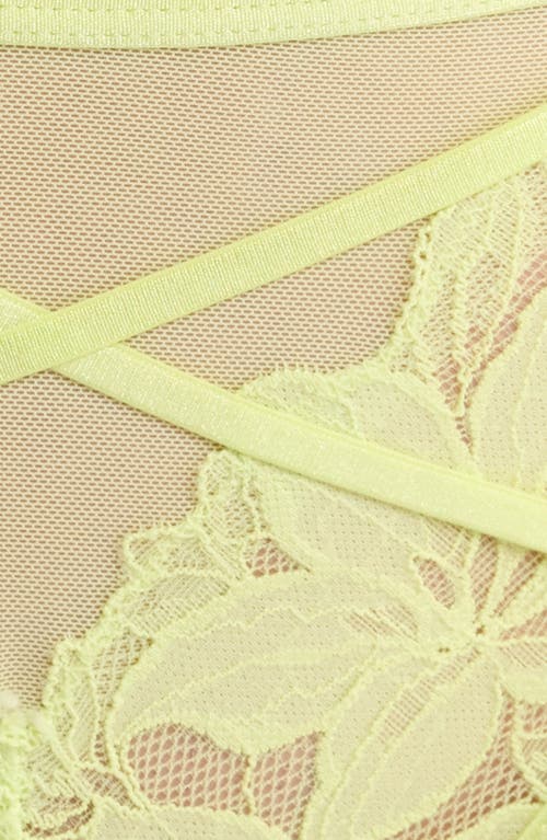 Hunkemoller Hunkemöller Ingrid High Waist Mesh & Lace Panties With Garter Straps In Green
