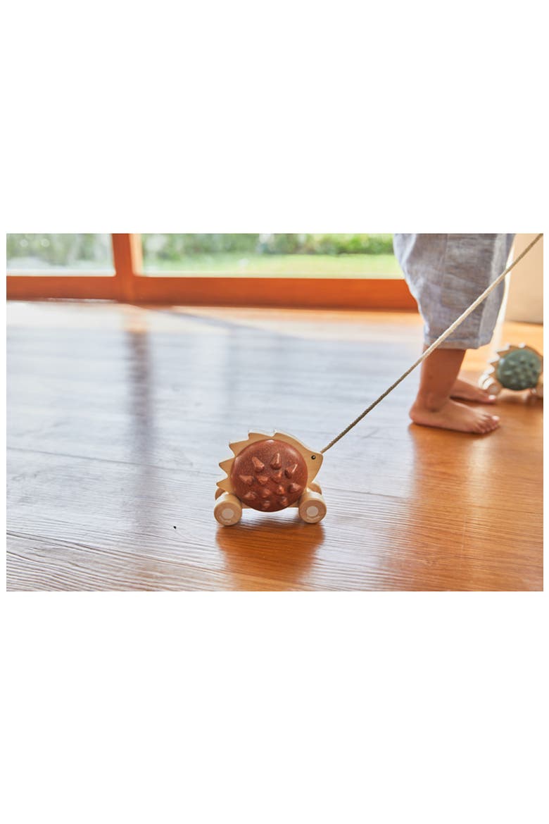 Hedgehog Pull Along Toy, Alternate, color, BROWN