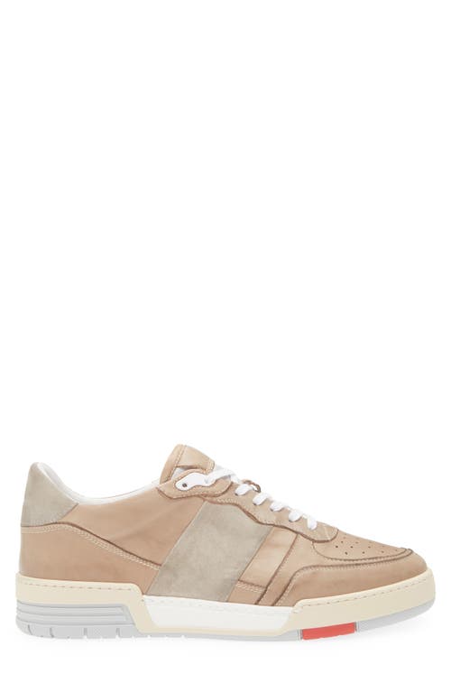 Collegium Pillar Destroyer Ii Sneaker In Brown