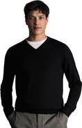 Charles Tyrwhitt Merino V-Neck Sweater