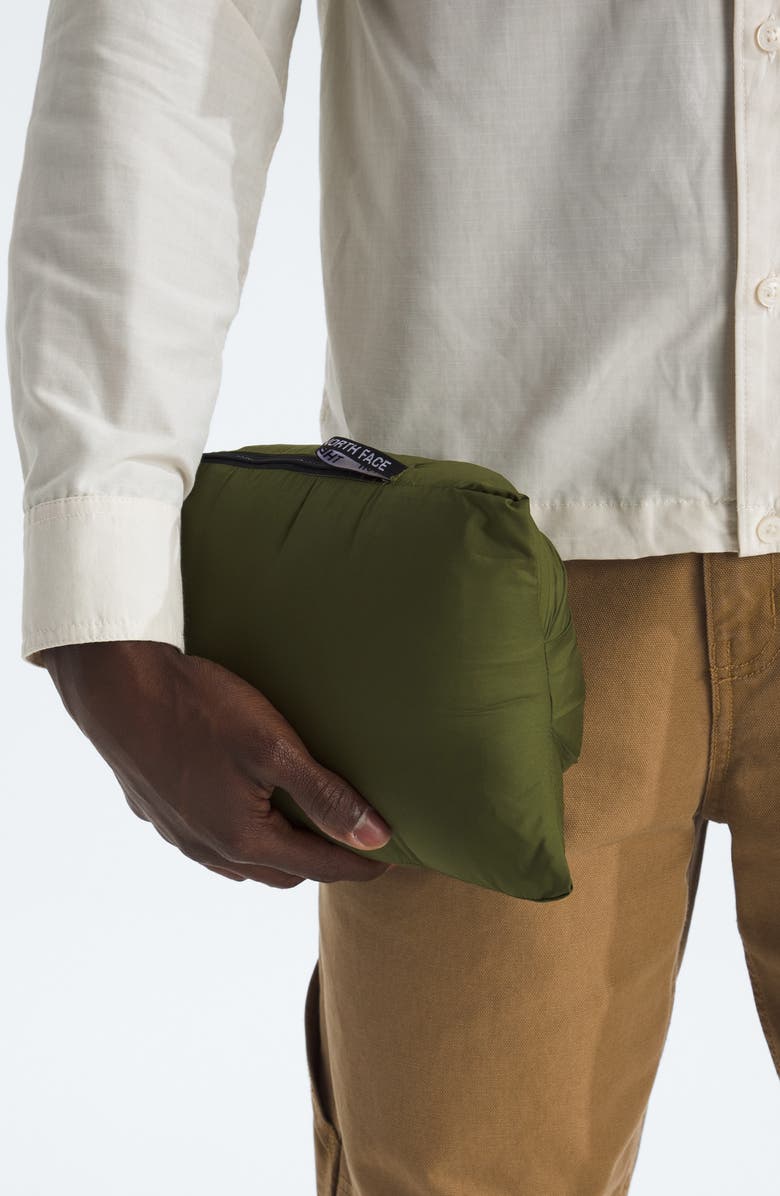 The North Face Classic 700 Fill Power Down Jacket, Alternate, color, Woodland Green