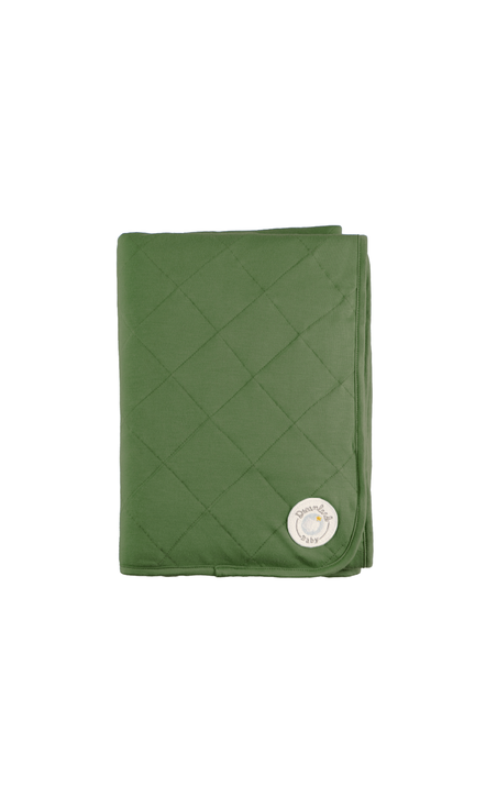 Dream  Baby Blanket