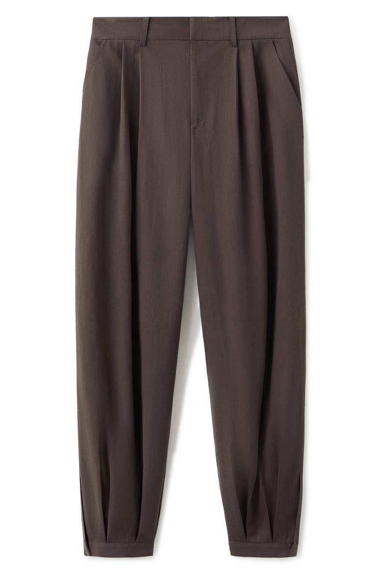 Pleated Baggy Pants, Alternate, color, CHOCOLATE