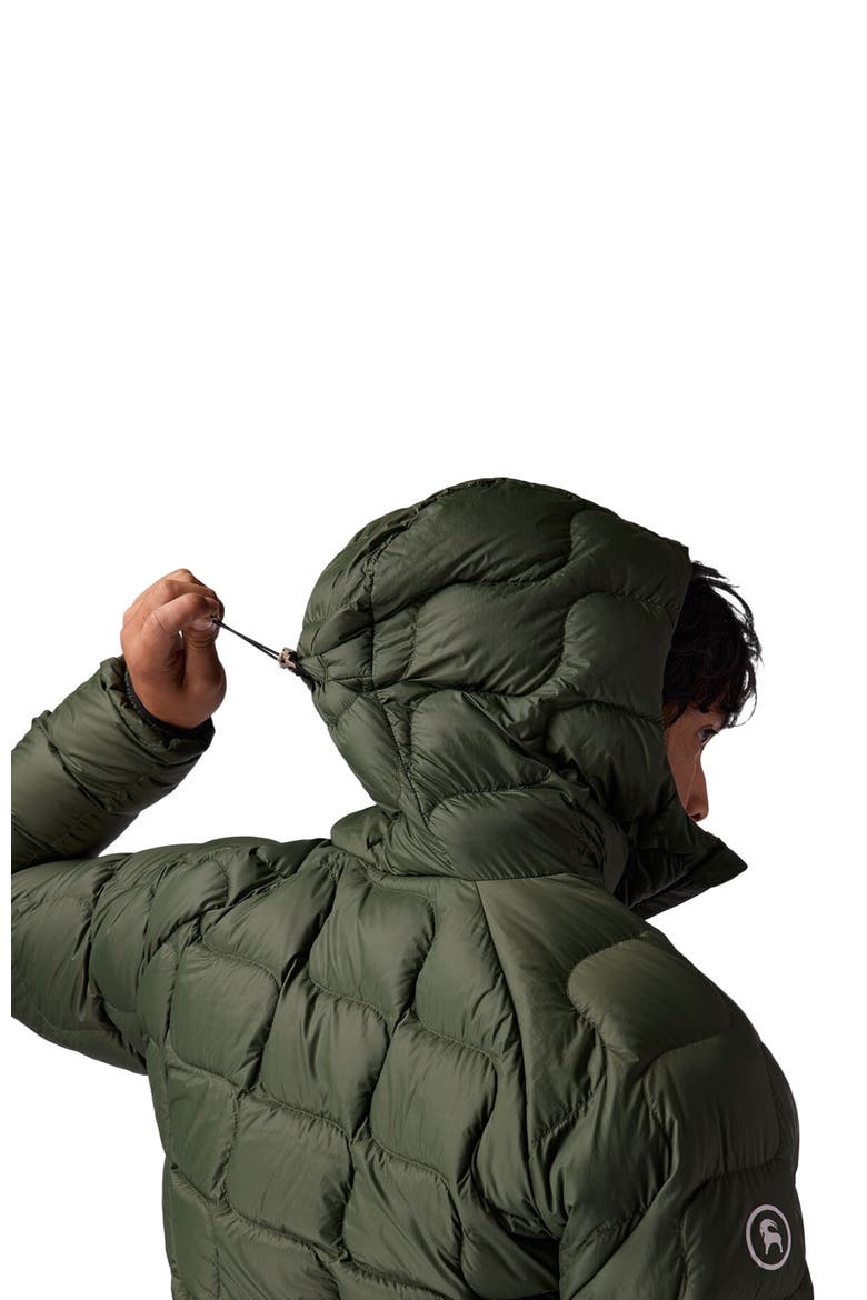 Waas Allied Down Hooded Jacket - Men's, Alternate, color, Climbing Ivy