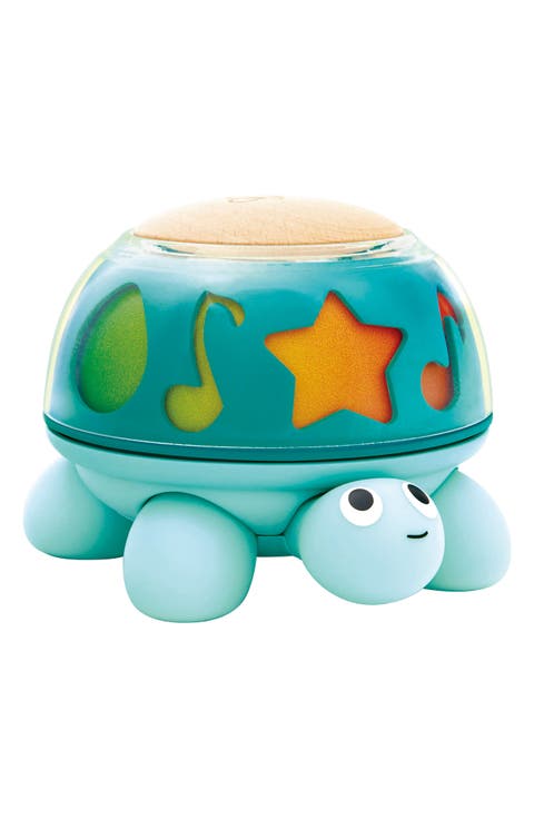 Twist & Tune Turtle Toy