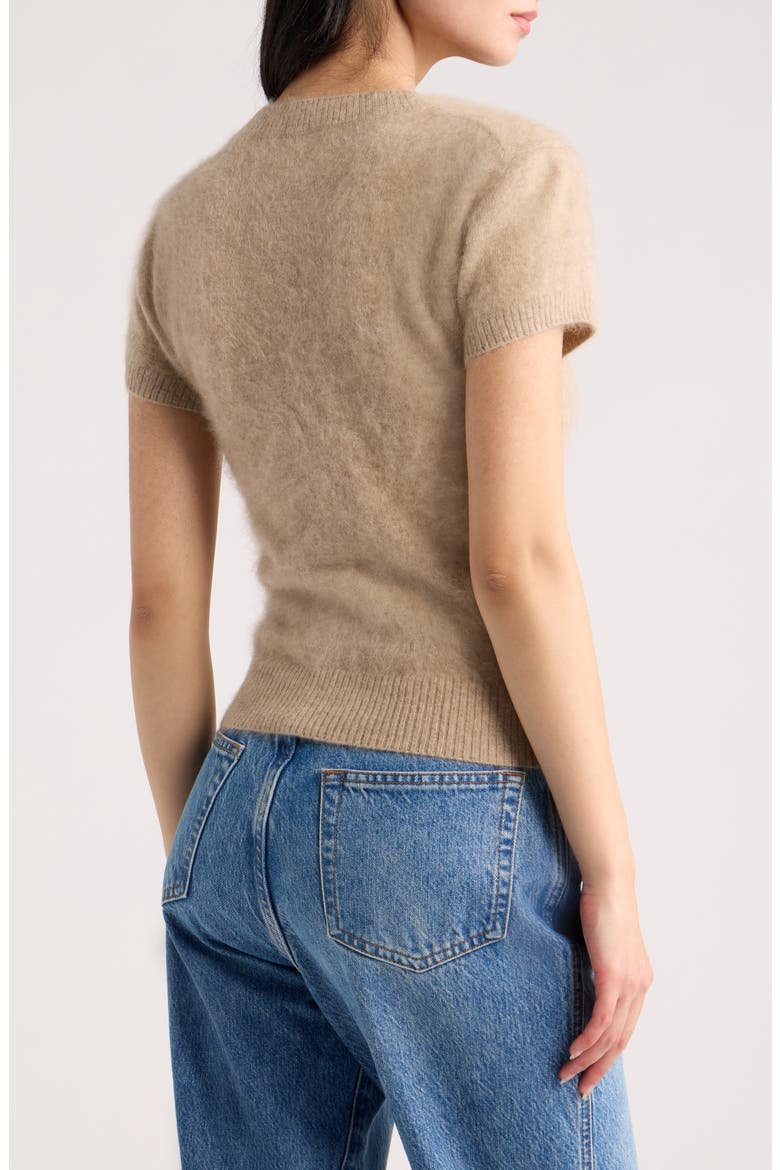 Darcy Brushed Cashmere Short Sleeve Sweater, Alternate, color, BRUSHED OATMEAL