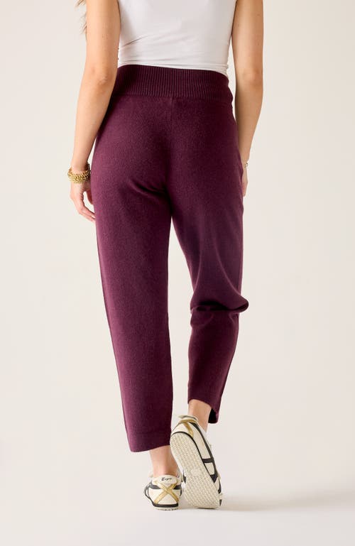 Voyageur By Mersea Parma Cashmere Travel Pant In Brown