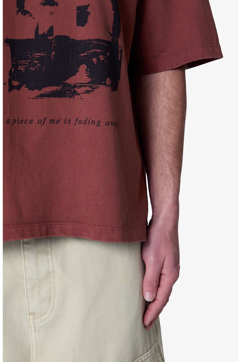 Fading Away Graphic T-Shirt, Alternate, color, BRICK